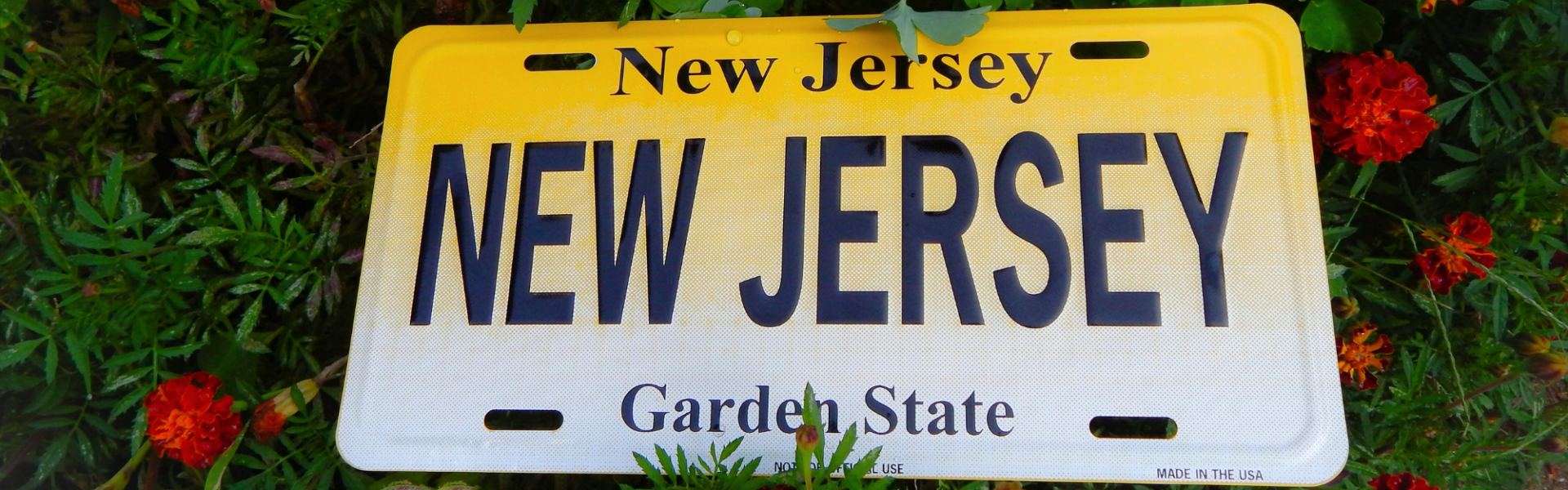 Kitchen Remodeling in Haddonfield, NJ: What to Expect, Costs, and Popular Local Design Trends